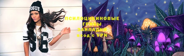 стафф Алексеевка