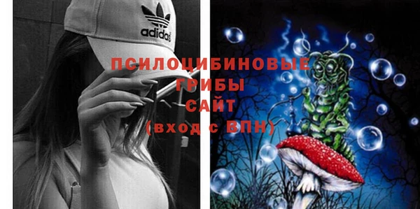 стафф Алексеевка